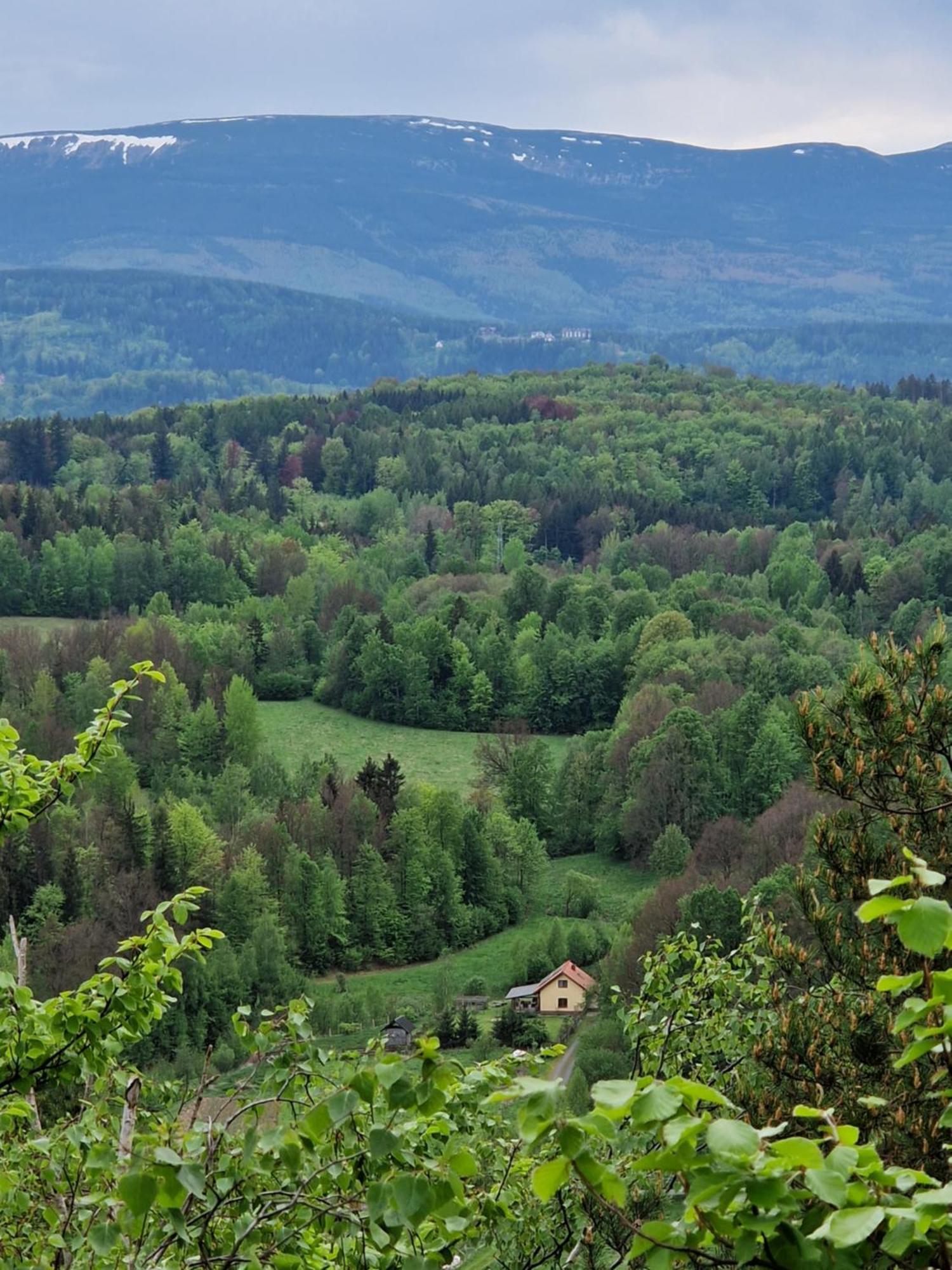Majcia Villa Jelenia Góra Екстериор снимка